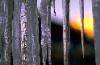 Ice Cold and Distant Seasons.